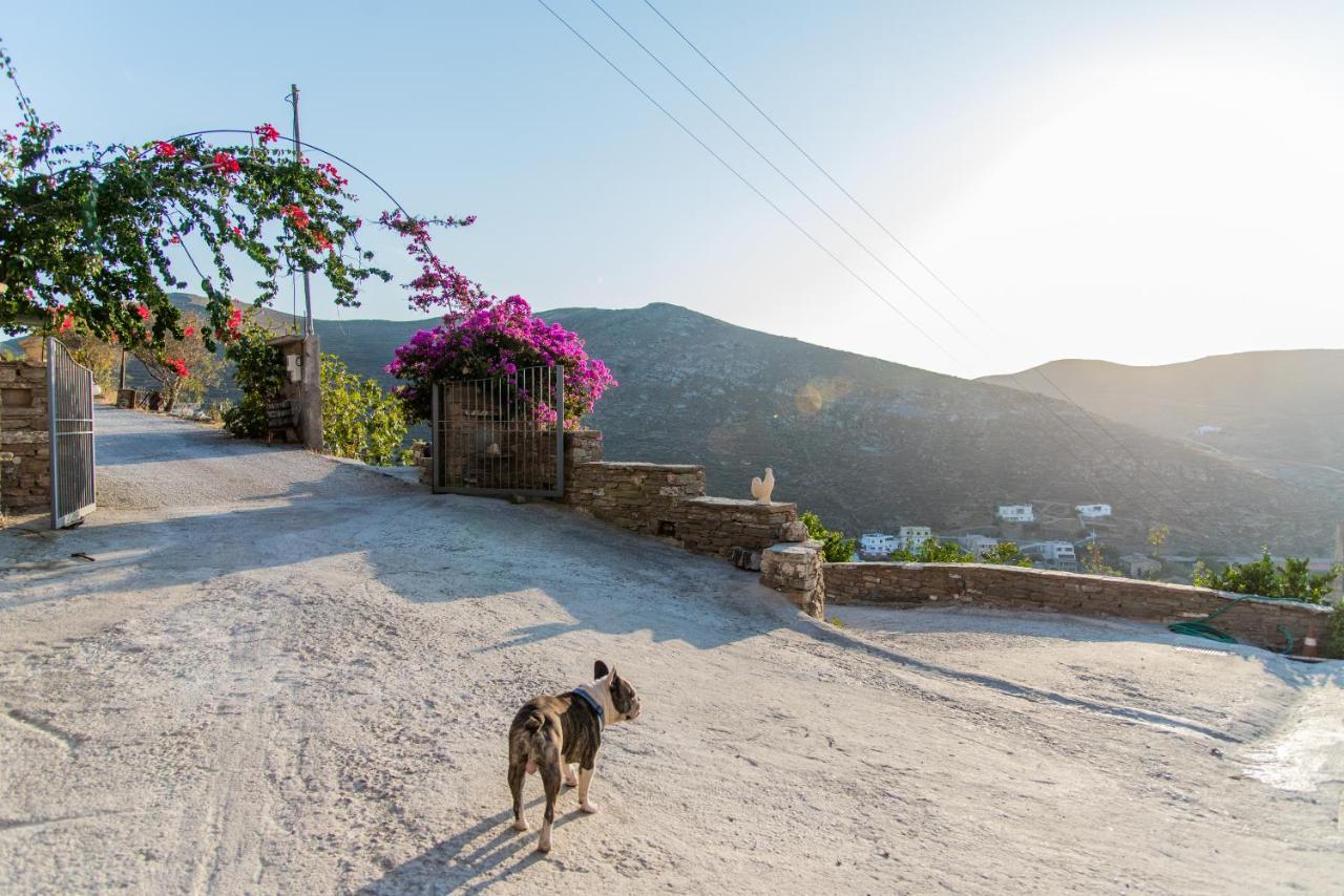 Villa Cavo D' Oro Korissia  Dış mekan fotoğraf