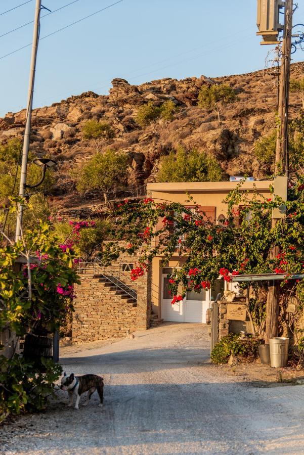 Villa Cavo D' Oro Korissia  Dış mekan fotoğraf